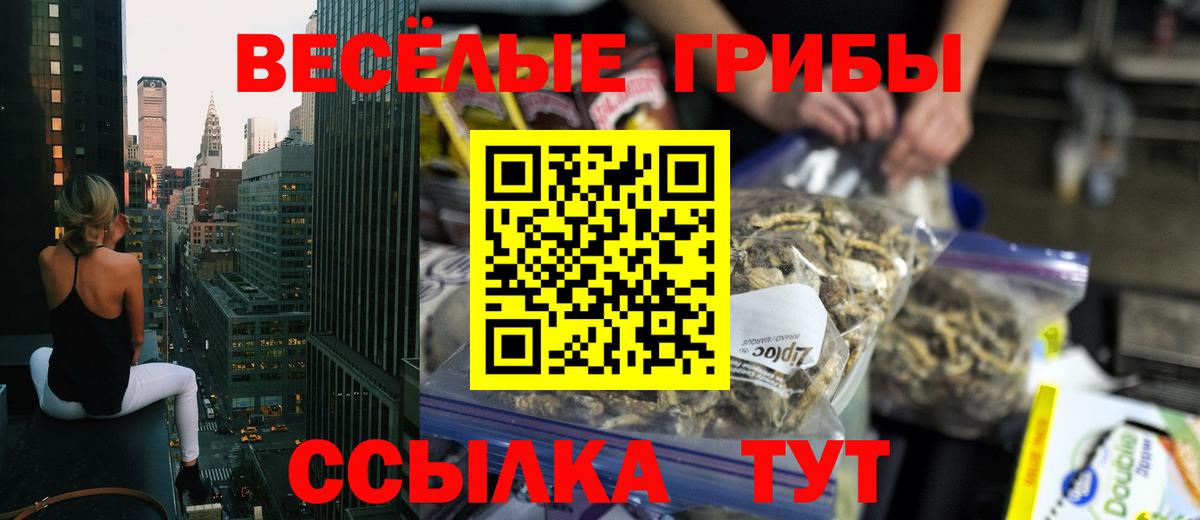 Псилоцибиновые грибы Psilocybine cubensis  Вход с VPN  Тихорецк 